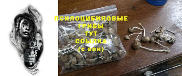 прущие грибы Инта