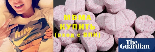 прущие грибы Инта