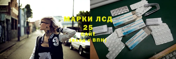 прущие грибы Инта