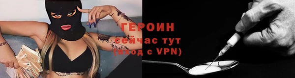 прущие грибы Инта