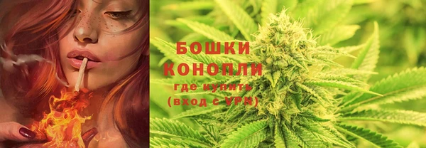 прущая мука Новозыбков