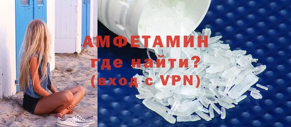 прущие грибы Инта