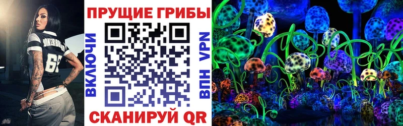 Псилоцибиновые грибы Psilocybe  продажа наркотиков  это какой сайт  Химки 