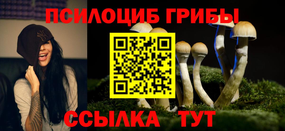 Псилоцибиновые грибы Magic Shrooms  Вход с VPN  Химки  Псилоцибиновые грибы GOLDEN TEACHER 